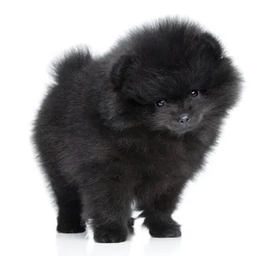 亚博体育app 手机应用界面